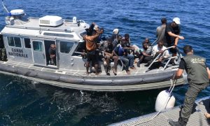 Migrants, Shipwrecks, Italy, Italian Coastguard, Boat, ResQship, Calabria, Media, French Boat, Afghanistan, Iran