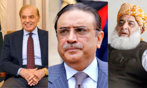 Pakistan, Political Leaders, Prime Minister, Shehbaz Sharif, PPP, JUI-F, MQM, Eid Al-Adha