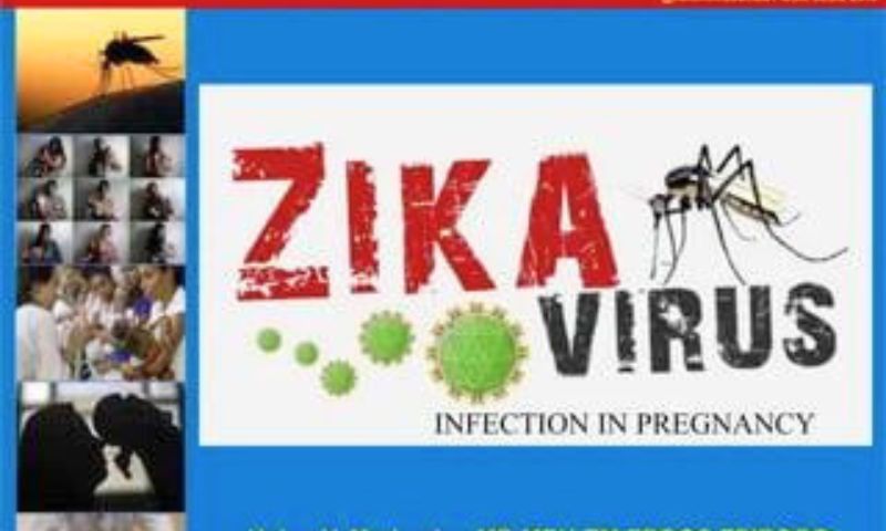Zika Virus, Pakistan, Researchers, Agha Khan University, Karachi, Gale Lab, University of Washington, Dengue, WHO, Senegal, South Africa, Brazil, Taiwan