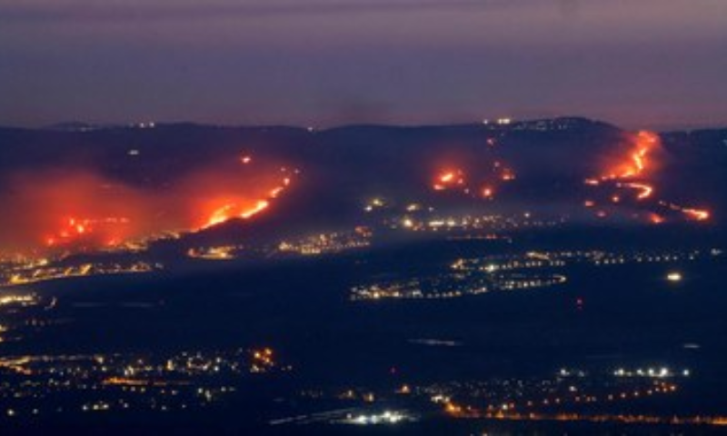 Southern Italy, Puglia, Gargano, Wildfire, Tourists, Firefighters, Summer Season, Gargano National Park, Weather, Sardinia