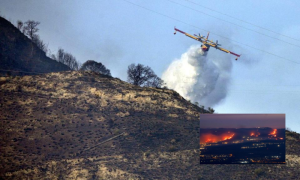 Southern Italy, Puglia, Gargano, Wildfire, Tourists, Firefighters, Summer Season, Gargano National Park, Weather, Sardinia