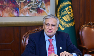 Pakistan, Deputy Prime Minister, Foreign Minister Ishaq Dar, overseas Pakistanis, Passports,