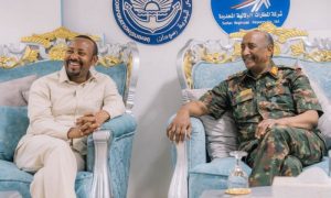 Sudan, Ethiopia, Fano, African, Red Sea, Rapid Support Forces, RSF,