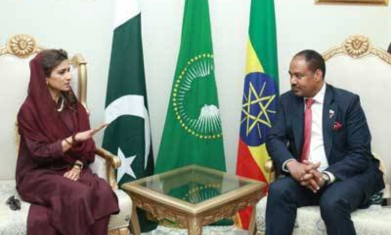 Exploring Pakistan Ethiopia Cooperative Ties 5