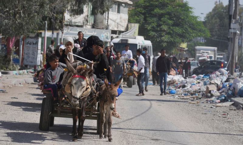 Israel, Gaza, Khan Younis, Palestinians, Rafah, Al-Mawasi, Israeli Military, Hospital, Nasser Hospital,