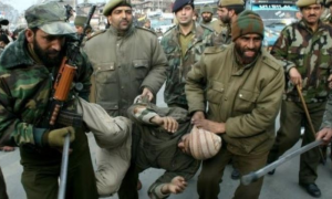 Kashmiris in IIOJK Faces Rights Abuses Amid Indian Crackdown