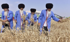 Kazakhstan, Export, Wheat, Afghanistan, Pakistan, Turkmenistan