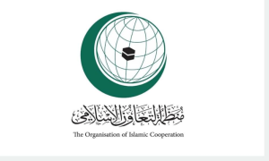 OIC, Israeli Occupation, Gaza, Genocide, Gaza Strip, Israel, Khan Younus, Al-Mawasi, Al-Shatei, United Nations, International Court of Justice, Security Council