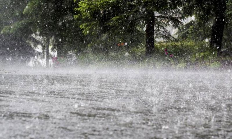 Rain, PMD, Monsoon Rains, Rain, Punjab, Pakistan, Pakistan Meteorological Department