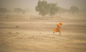 United Nations General Assembly, sand, dust storms, economic, human risks, UN Secretary-General,