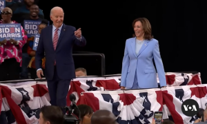 Who Might Replace Biden as Democratic Party Nominee