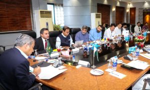 Board of Governors, Pakistan Cricket Board, PCB, budget, cricket stadiums, ICC Champions Trophy, PCB Chairman, Mohsin Naqvi, National Cricket Academy,