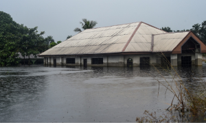 Niger, Flooding, Rains, United Nations, UN, Livestock, Rainy Season