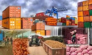 Agricultural Exports, Pakistan, exports, fiscal year, Pakistan Bureau of Statistics, PBS, exports,