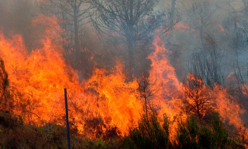 Bolivia, Wildfires, Diesel, Shortage