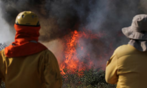 Bolivia, Wildfires, Diesel, Shortage