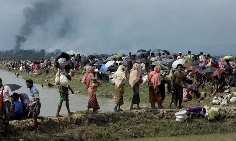 Rohingya, Bangladesh, United Nations, Rakhine, Arakan Army,