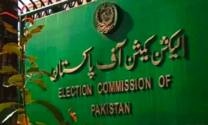 ECP, Deadline, Parties, Financial, Statements