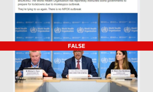 Fact Check WHO Did not Ask Governments for Mpox Lockdowns