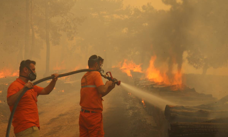 Turkiye, Wildfires, Firefighters