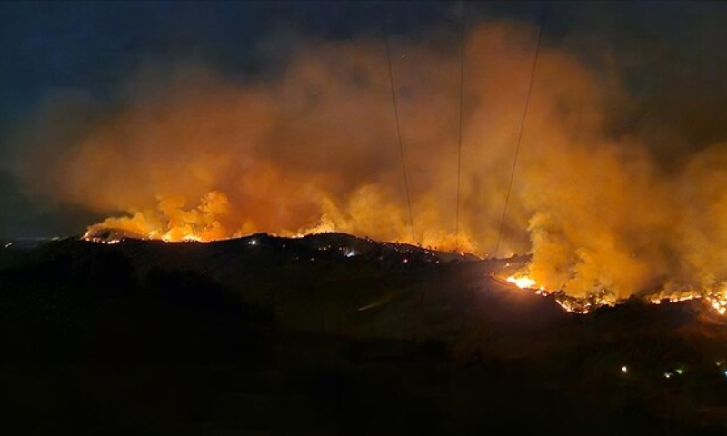 Turkiye, Wildfires, Firefighters