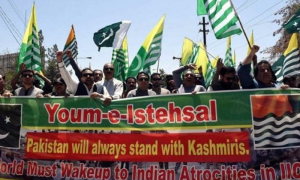 Kashmiris, Youm-e-Istehsal, Indian Government, August 5, Khyber Pakhtunkhwa, Chitral, Dera Ismail Khan