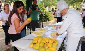 Pakistan, Mango, Chaunsa, Turkish, Ankara,