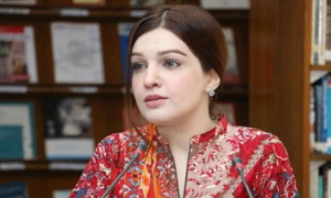 Mushaal Malik, UN Action on Kashmir, Youm-e-Istehsal