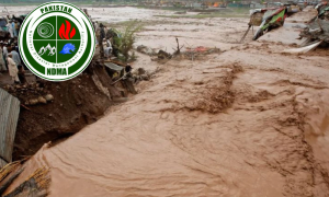 NDMA, Balochistan, Flood, Kabul River, Punjab