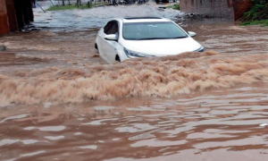 PDMA, Pakistan, Flood, Punjab