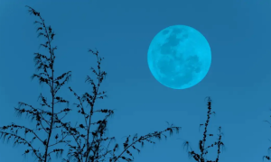 Pakistan, Witness, Rare, Super Blue Moon, Tonight