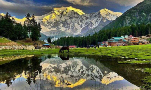 Pakistans Blossoming Tourism Landscape A Journey from Wilderness to Welcoming