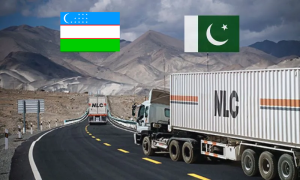 Pakistan, NLC, Mango Shipment, Mangoes, Tashkent, Central Asia, Export, Economy, Reefer Container