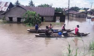 Floods in Nigeria, heavy rainfall, northern Nigeria, NEMA,