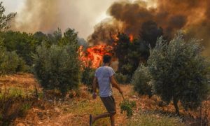 Firefighters, forest fire, Aegean, Izmir, blaze, Ali Yerlikaya, Turkiye