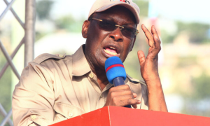 Tanzanian, Chadema, President, Kibao,