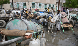 ALPS, Sudan, Relief, UN, World Food Program, Rapid Support Forces