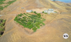 Kurdish Woman, Strives, Restore, Abandoned Hometown,