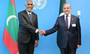 Pakistan, Maldives, UN General Assembly, Prime Minister, Shehbaz Sharif, Dr Mohamed Muizzu, Climate Change, Trade, Tourism