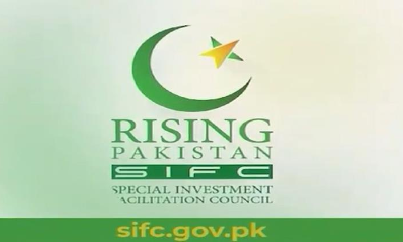 SFIC, Privatization, DISCOs, First Women Bank, PIA