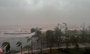 Super Typhoon Yagi, northern Vietnam, trees, swept ships, Vietnam, Hai Phong, Quang Ninh,