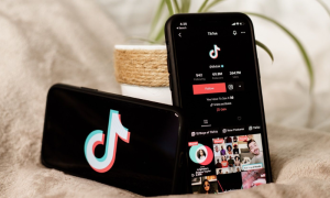 TikTok, Earn Money, Live Subscription, Feature