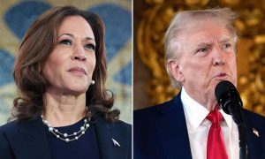 Trump, Harris, Spotlight, Economic, Strategies, Election Approaches