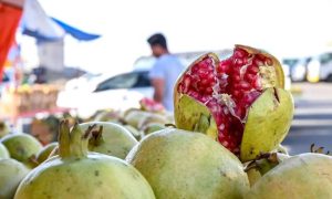 Saudi Arabia, Kingdom, Fruits, Autumn, Kingdom of Saudi Arabia, Agricultural Products, Harvest Season, Dates, olives, pomegranates