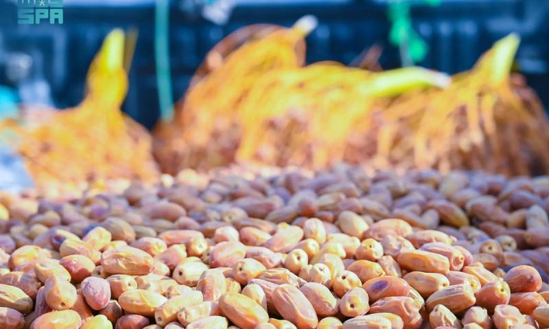 Dates Festival, Najran, Saudi Arabia, Saudi Reef,