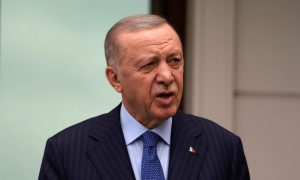 Erdogan, Turkish President, Tayyip Erdogan, Islamic countries, Israel, state terrorism, Turkish-American woman, Israeli troops, West Bank, Gaza conflict,