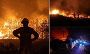 Portugal, Wildfires, EU, Support, European Union, France, Spain, European Commission, Greece, Italy