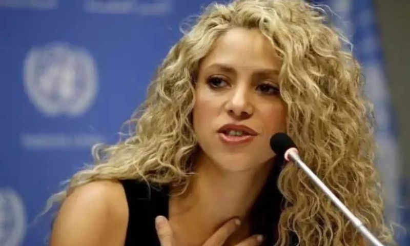 Shakira, Fans, Stage, Film, Concert, Video, Miami, Performance, Albums, Singer,