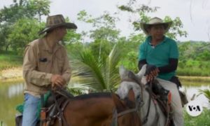 Colombian Ranchers Work to Showcase Sustainable Beef Production