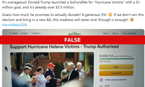 Fact Check, Trump, GoFundMe, Donations, Support, Hurricane Helene, Victims